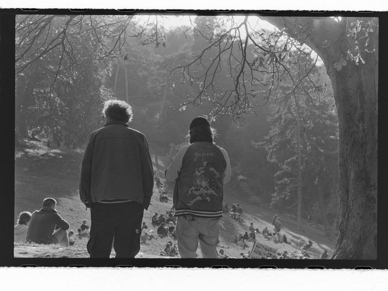 A photo of two chaps stood in the park, slightly backlit by the late afternoon sun